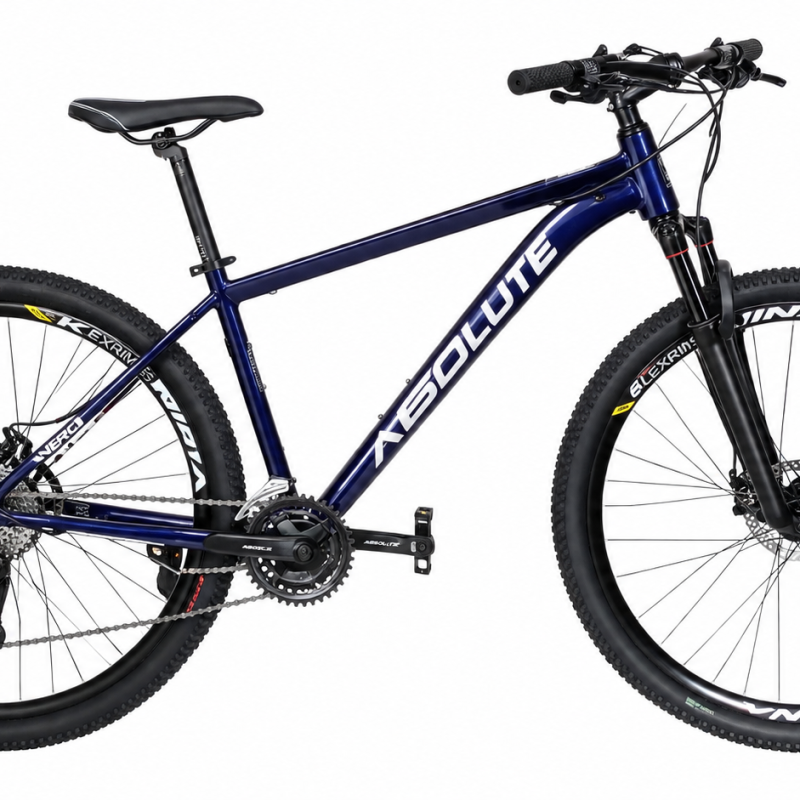 Bicicleta Aro 20 Cor Roxa